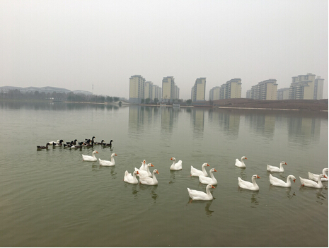 QQ鎴浘20170303163703.jpg QQ鎴浘20170303163703.jpg