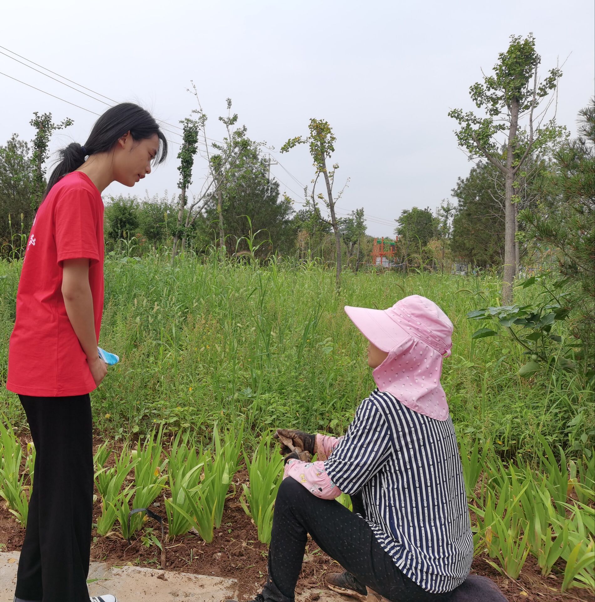 社会实践 > 正文责任编辑:林敏