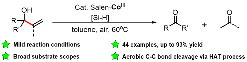44D3