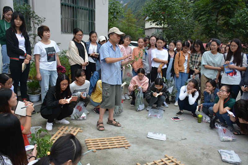 DSC_8631_鍓湰s.jpg DSC_8631_鍓湰s.jpg