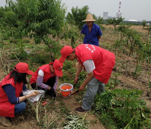 mmexport1527756805567_鍓湰.jpg mmexport1527756805567_鍓湰.jpg