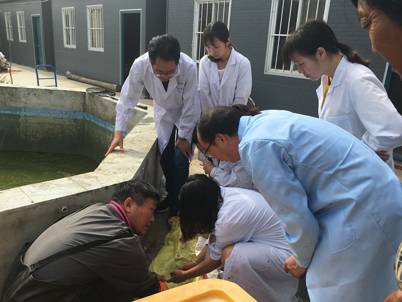 mmexport1526369840943_鍓湰.jpg mmexport1526369840943_鍓湰.jpg